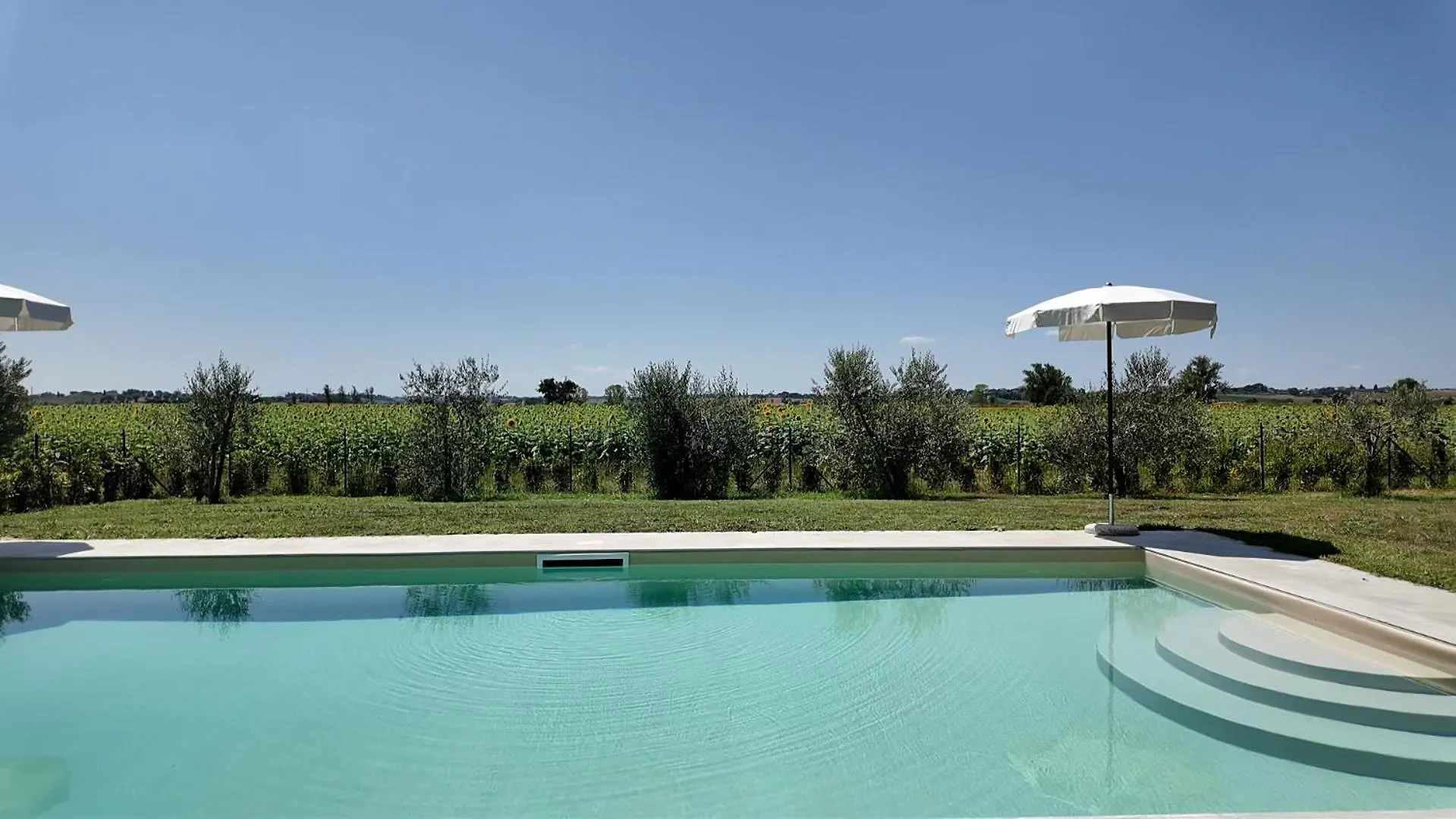Podere Merlino Cortona Villa
